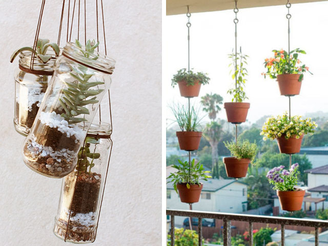 ideias de plantas suspensas