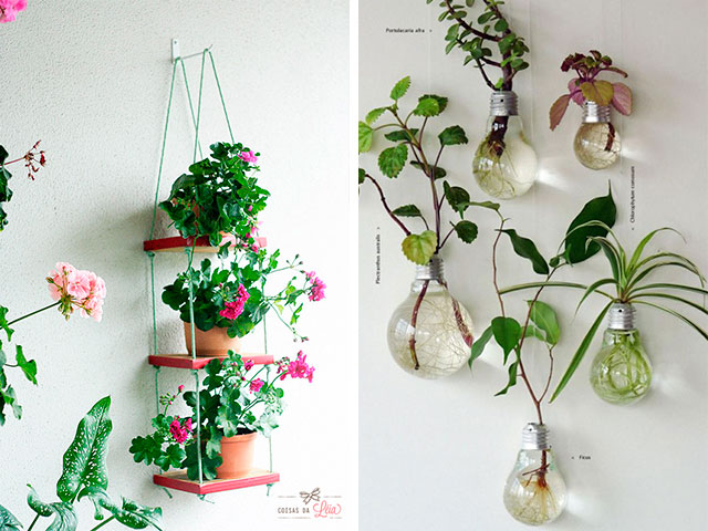 ideias de plantas suspensas